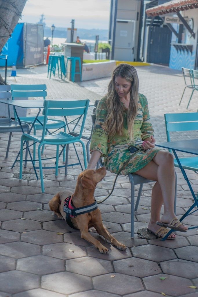 Service dog in service dog vest outside with owner 