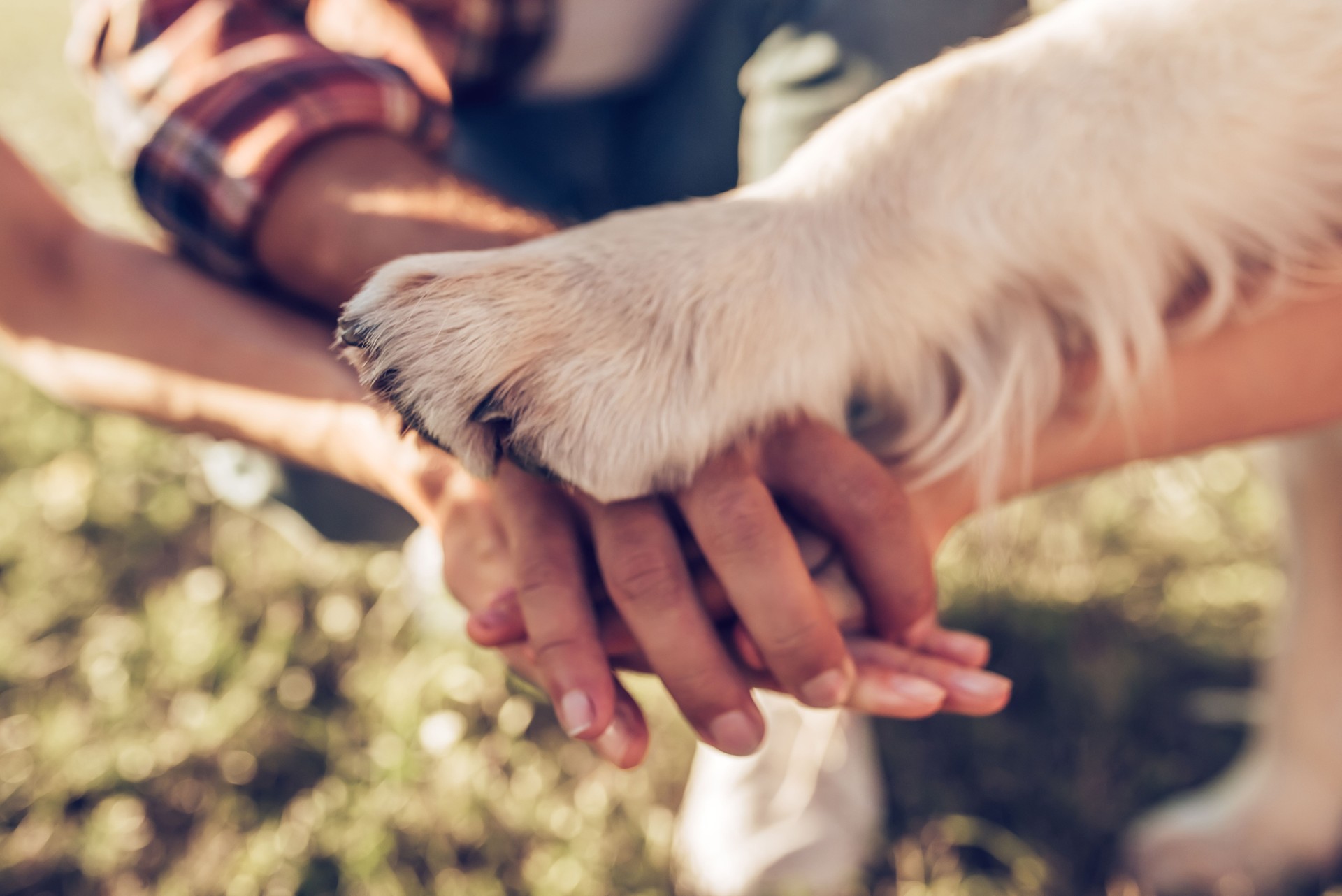 Happy family with dog